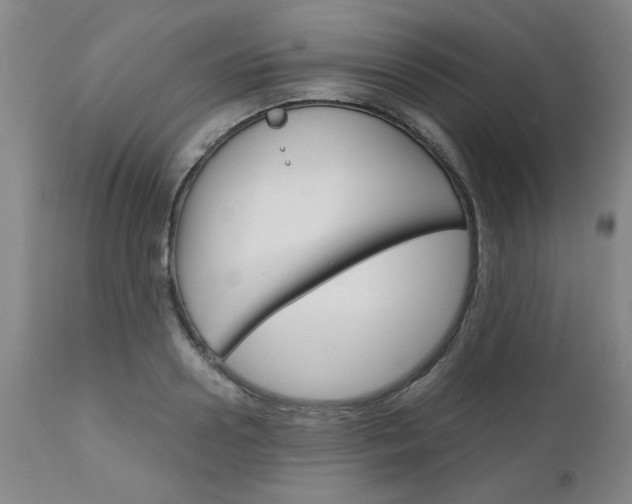 X0000111010938200906191204