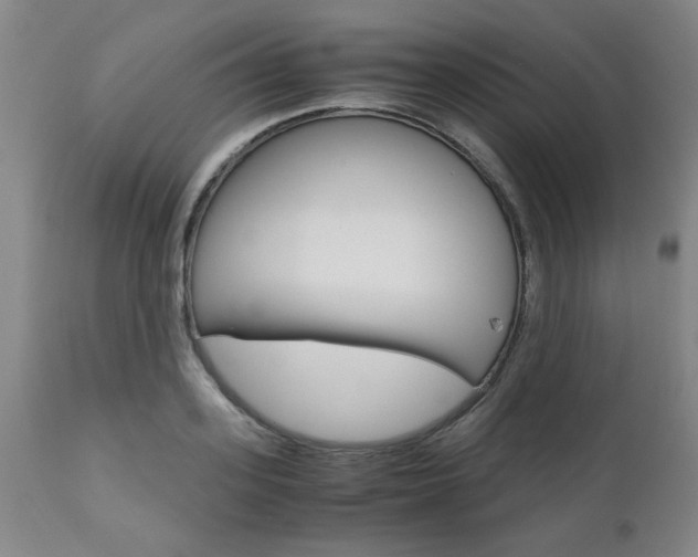 X0000111010939200906191204