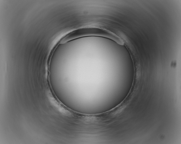 X0000111010940200906191204