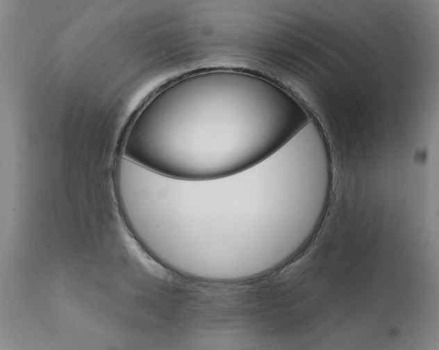X0000111010942200906191204