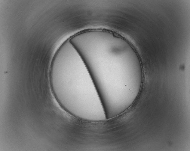 X0000111010943200906191204