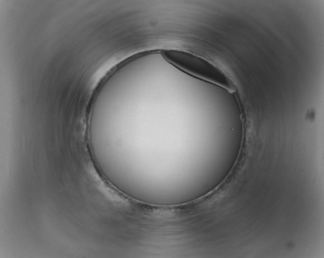 X0000111010944200906191204