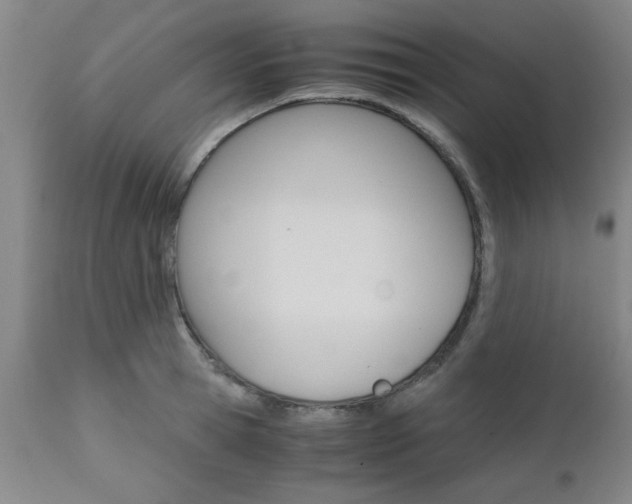 X0000111010945200906191205