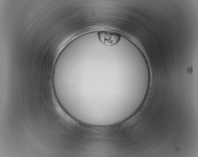 X0000111010946200906191205