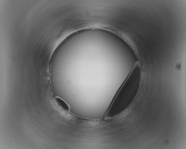 X0000111010948200906191205