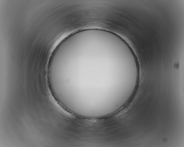 X0000111010949200906191205
