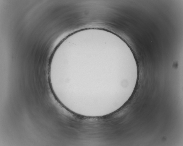 X0000111010950200906191205