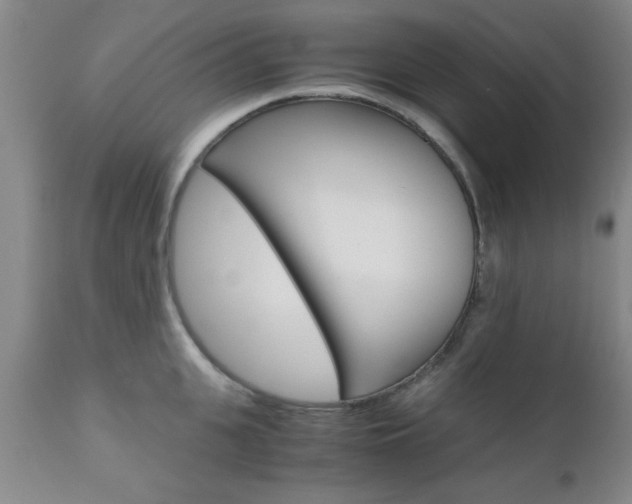 X0000111010951200906191205