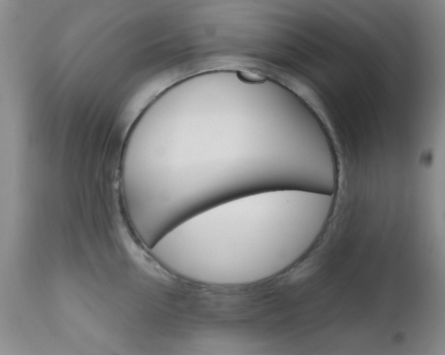 X0000111010954200906191205