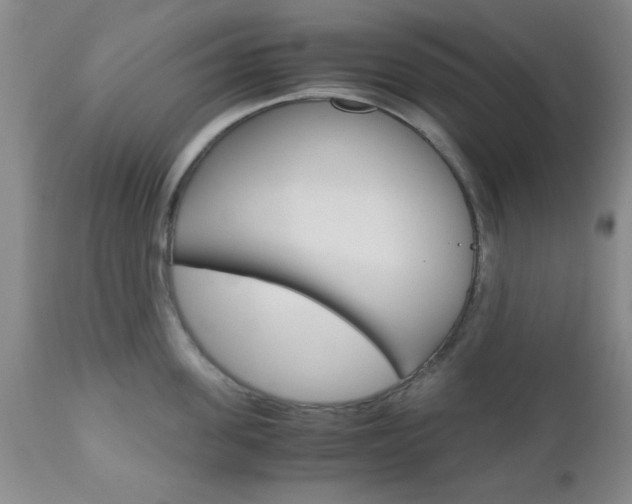 X0000111010955200906191205