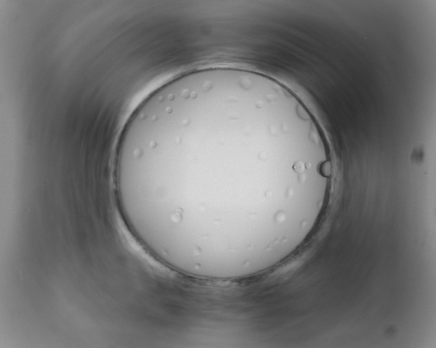 X0000111010957200906191205
