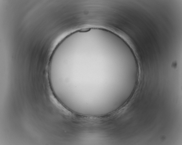 X0000111010958200906191205