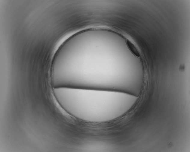 X0000111010959200906191205