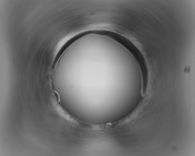 X0000111010960200906191205
