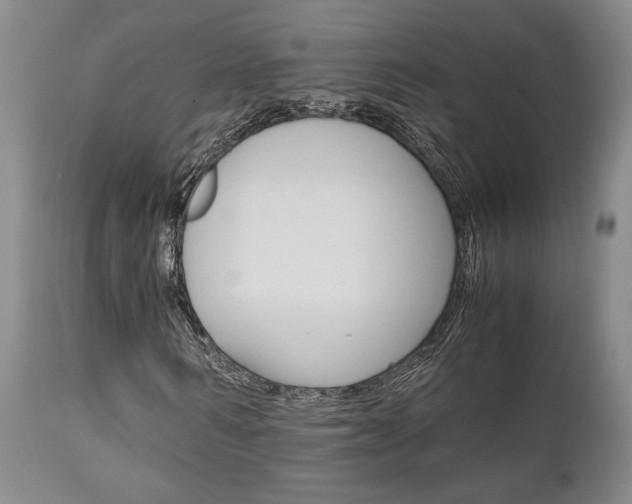 X0000111010962200906191204