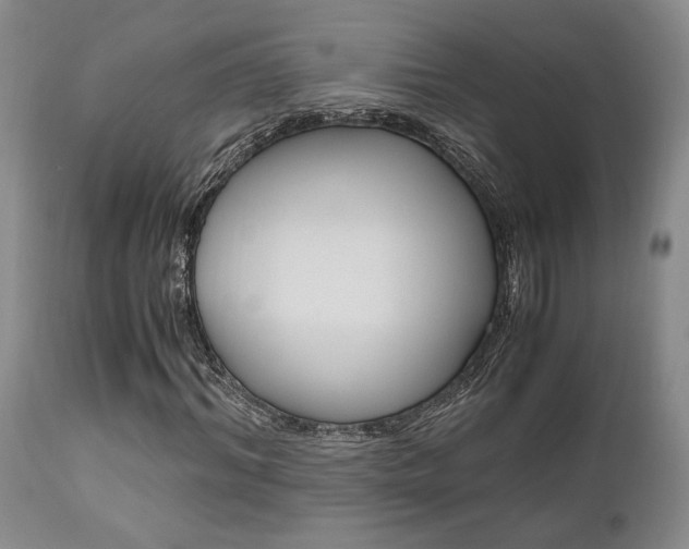 X0000111010964200906191204
