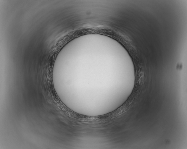 X0000111010966200906191204