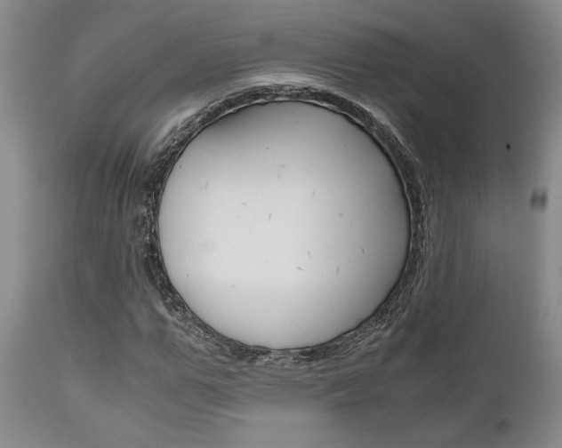 X0000111010967200906191204
