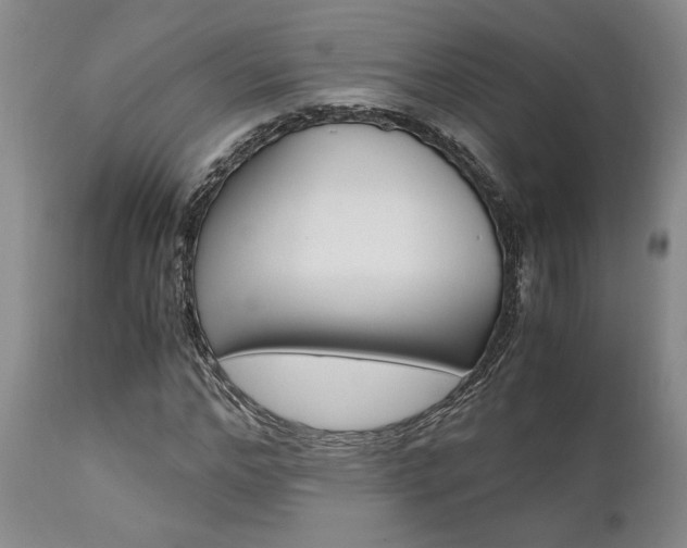 X0000111010968200906191204