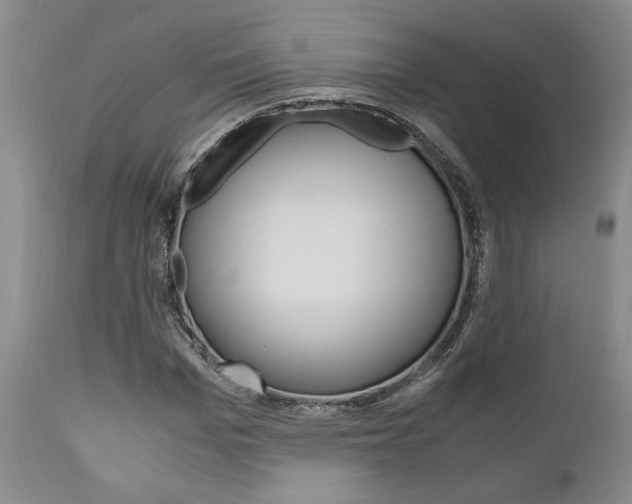 X0000111010969200906191204