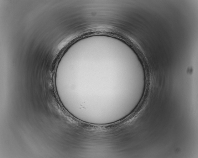 X0000111010970200906191204