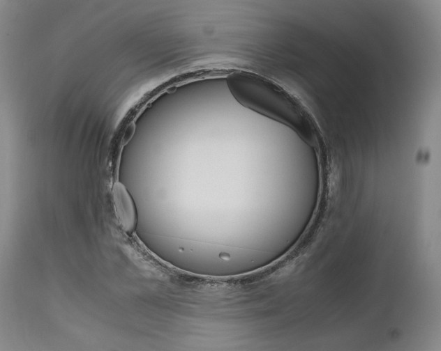 X0000111010973200906191204