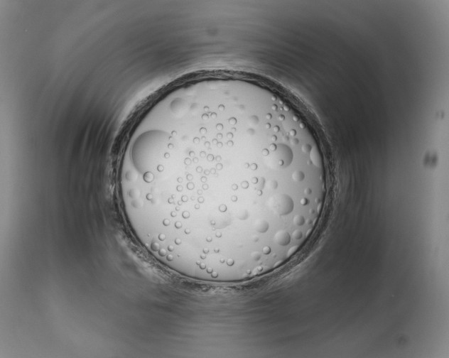 X0000111010974200906191204