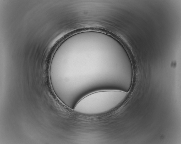X0000111010975200906191204