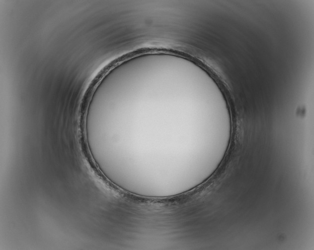 X0000111010976200906191204