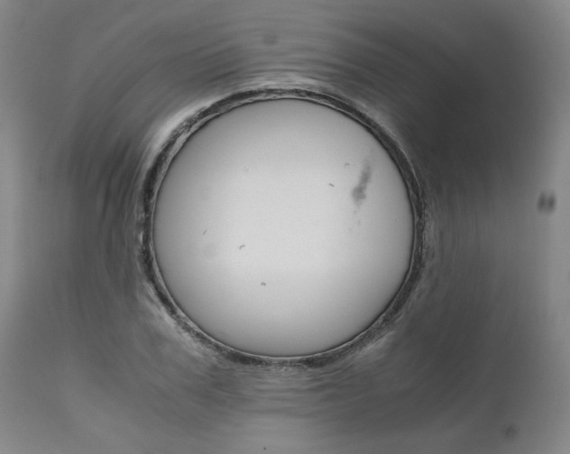 X0000111010979200906191203