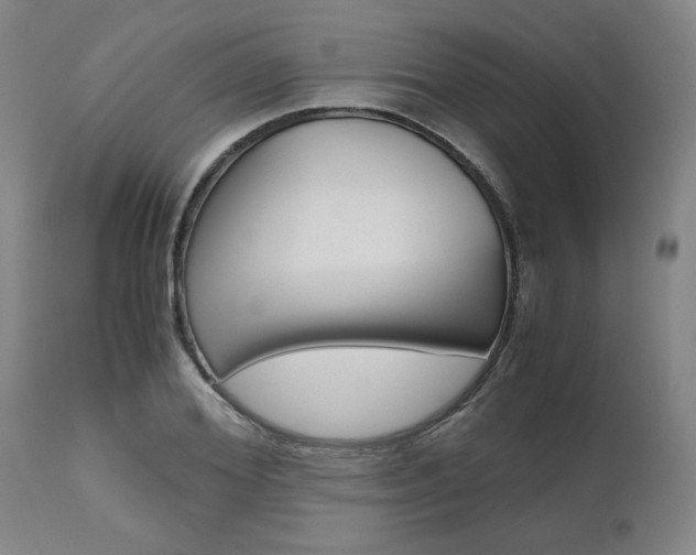 X0000111010980200906191203