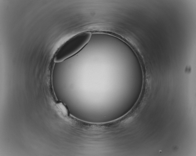X0000111010981200906191203