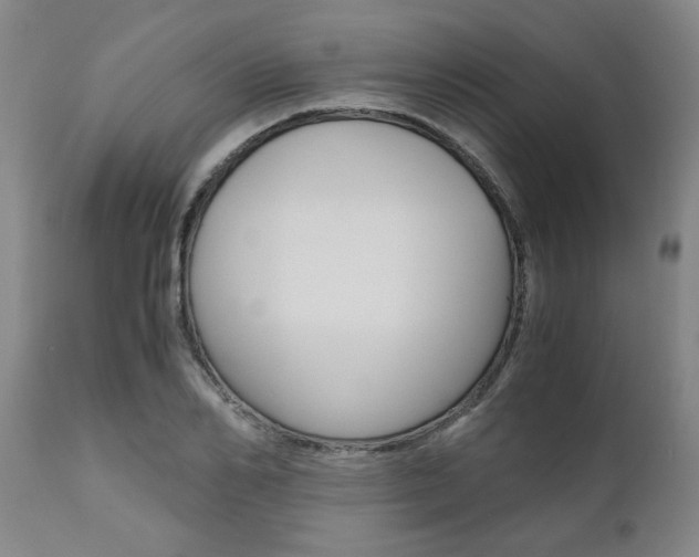 X0000111010982200906191203