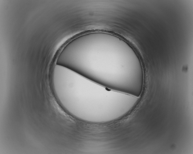 X0000111010983200906191203