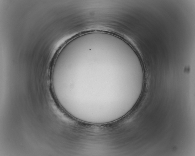 X0000111010987200906191203