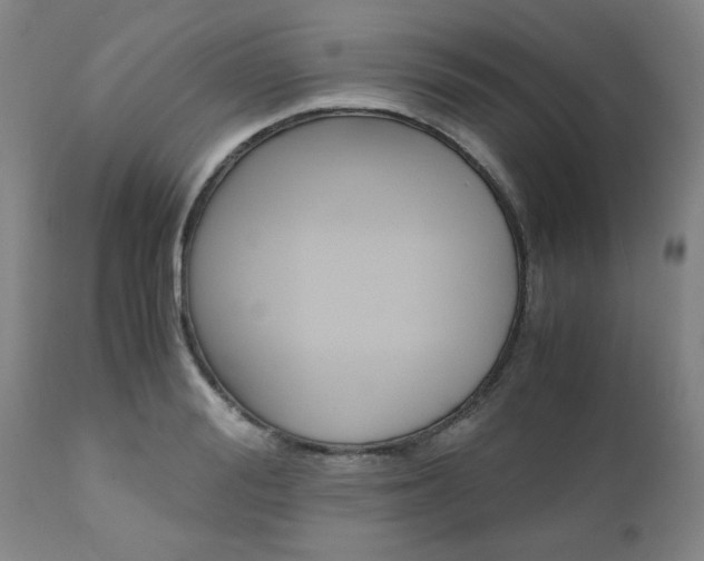 X0000111010988200906191203