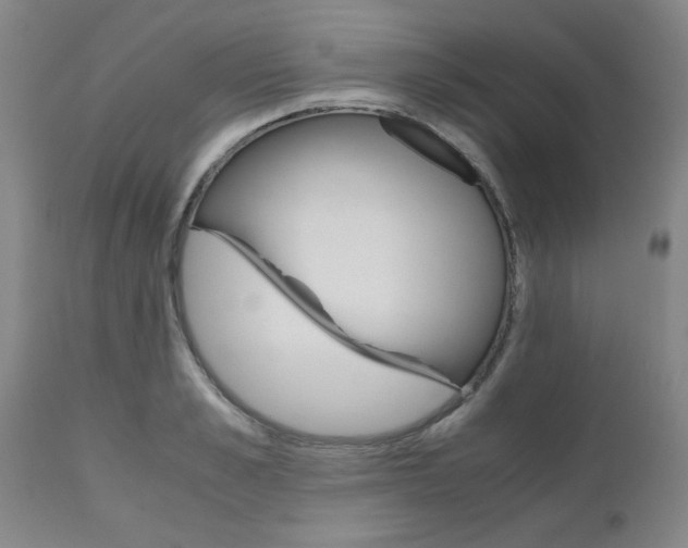 X0000111010989200906191203