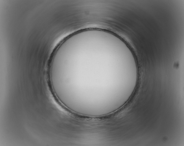 X0000111010991200906191203
