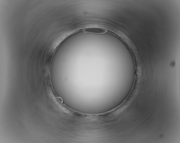 X0000111010993200906191203
