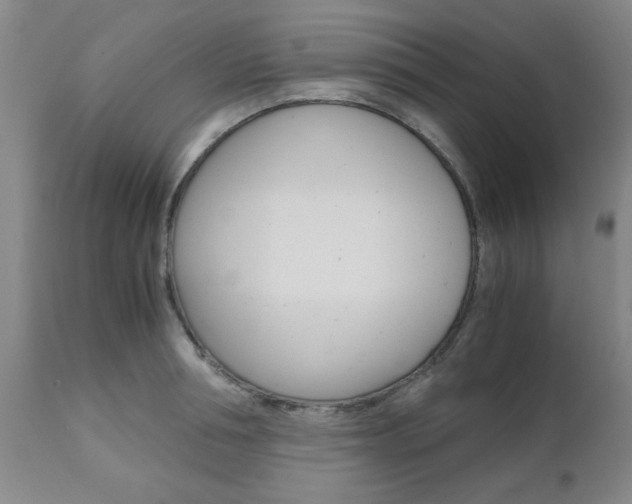 X0000111010994200906191203