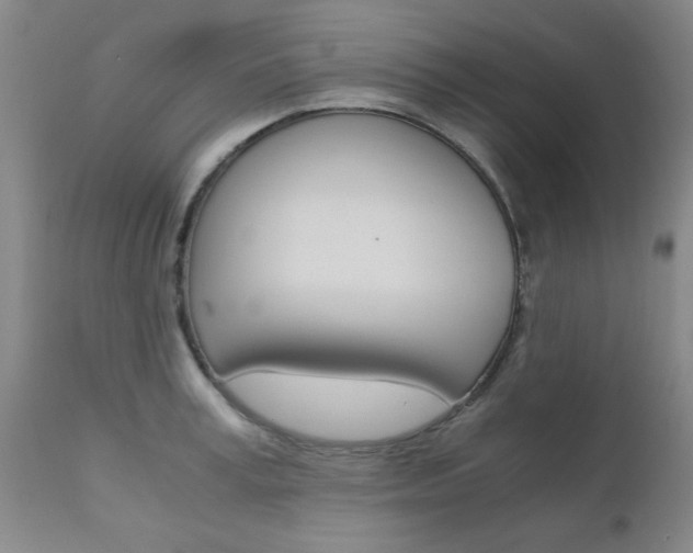 X0000111010995200906191203