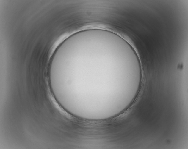 X0000111010997200906191203