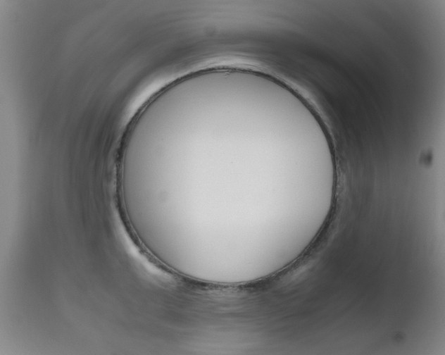 X0000111010999200906191203