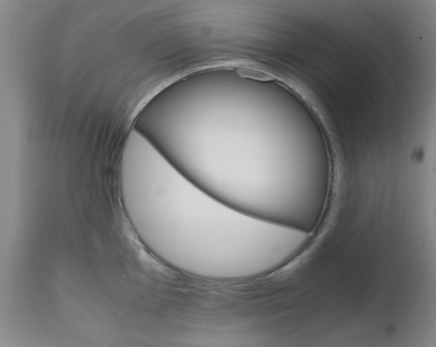 X0000111011001200906191203