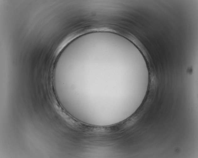 X0000111011002200906191203