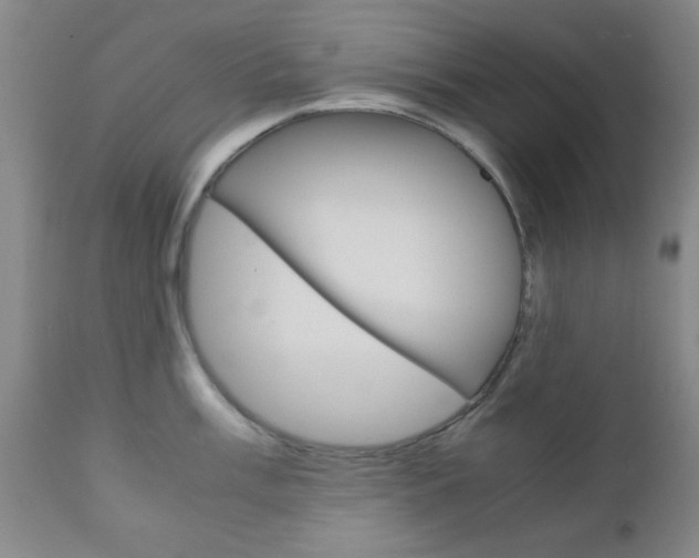 X0000111011003200906191203