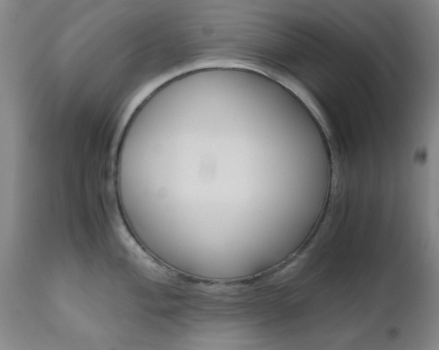X0000111011004200906191203