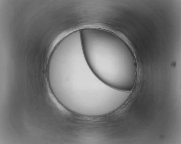X0000111011005200906191203
