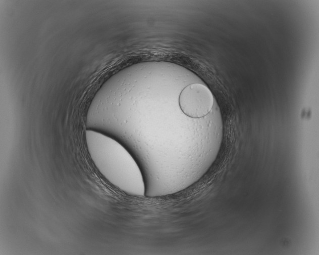 X0000111011009200906191202