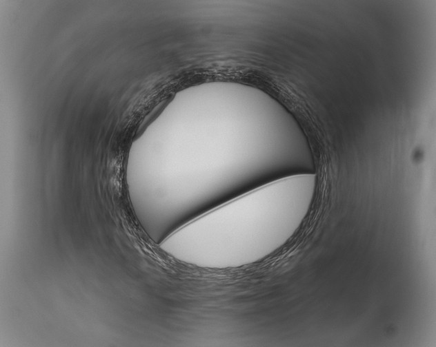 X0000111011010200906191202